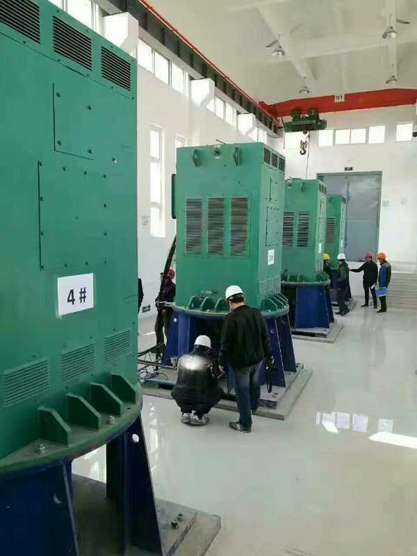 YKK5603-8/800KW某污水处理厂使用我厂的立式高压电机安装现场
