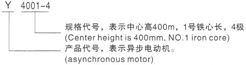 西安泰富西玛Y系列(H355-1000)高压YKK5603-8/800KW三相异步电机型号说明