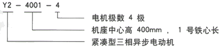 YR系列(H355-1000)高压YKK5603-8/800KW三相异步电机西安西玛电机型号说明